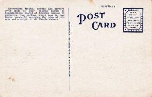 Flowers in Profusion in Florida - WB