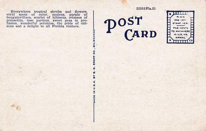 Flowers in Profusion in Florida - WB