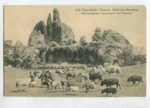 3129748 Germany HAMBURG Carl Hagenbeck Tierpark ZOO Stellingen