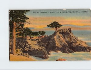 Postcard Cypress Tress On A Rocky Point Of The Monterey Peninsula, California