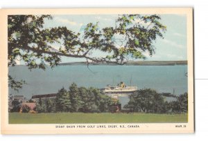 Digby Nova Scotia Canada Postcard 1915-1930 Digby Basin From Golf Links