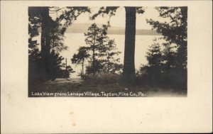 Tafton Pennsylvania PA Lenape Village Lake View c1910 Real Photo Postcard