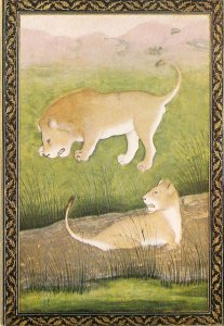 A miniature painting of two lions Modern Medici Society Postcard # 1832