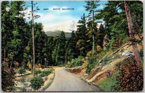 New Mexico, Snow-capped Peak, White Mountain, Summer Resort, Vintage Postcard