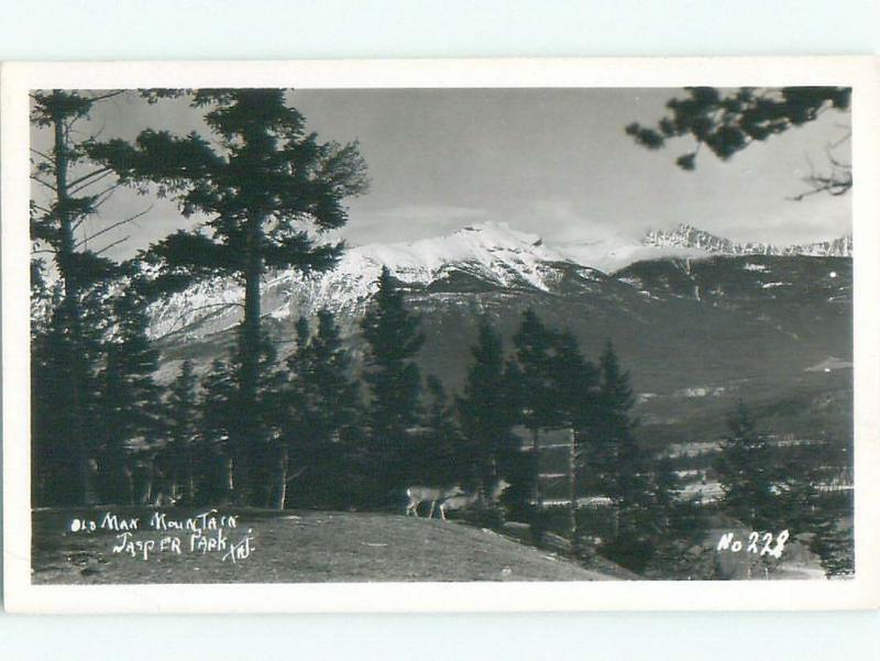 Pre-1962 rppc NICE VIEW Jasper Alberta AB W1014