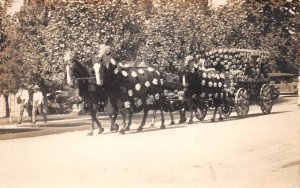 Sweet Pea Carnival Parade Decorated Horse Carriage Real Photo Postcard AA75695