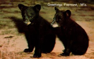 Greetings From Fremont,WI Bears BIN