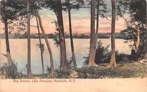 Day Dreams Monticello, New York Postcard
