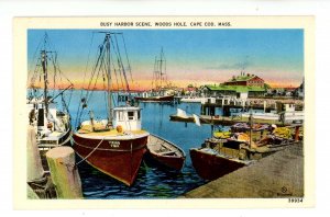 MA - Woods Hole, Cape Cod. Busy Harbor Scene