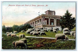 1912 Mansion House Flock Sheep Exterior Grass Field Baltimore Maryland Postcard 