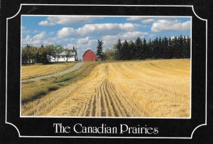 The Canadian Prairies Wheat Field After Harvest Canada 4 by 6