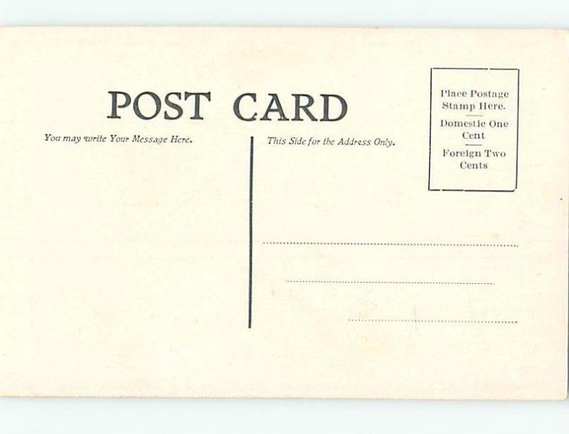 Divided-Back STORK BIRD READY FOR LOTS OF BRIDE BABIES j6014-15