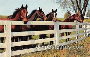 Friendly Gathering Free Lance Photographers Guild, Inc Unused 