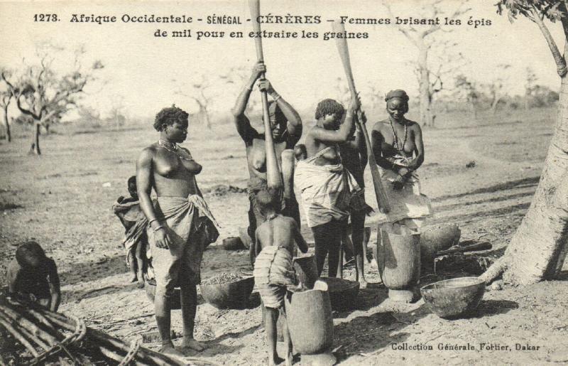 CPA Senegal Ethnic Nude Fortier - 1273. Céréres, Femmes brisant les épis (71127)