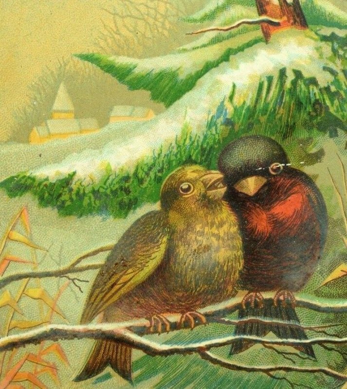 1870's Lovely Pair Couple of Birds Winter Snow Church Scrapbook Trade Card F91
