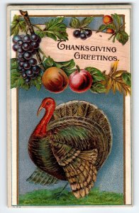 Thanksgiving Greetings Postcard Embossed Turkey Fruit Festive Holiday Unused