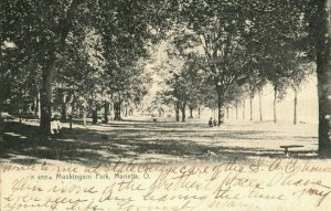 C.1900-08 Muskingum Park in Marietta, Ohio Postcard F1