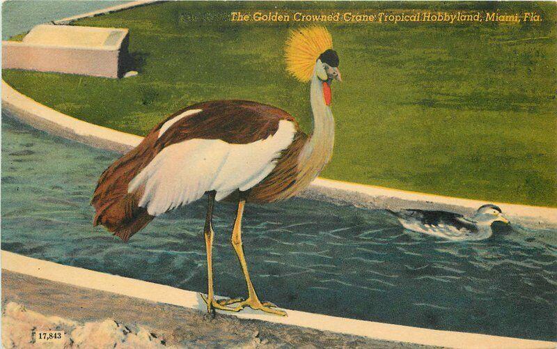 Amusement Golden Crane Hobbyland 1940s Postcard Miami Florida 5763