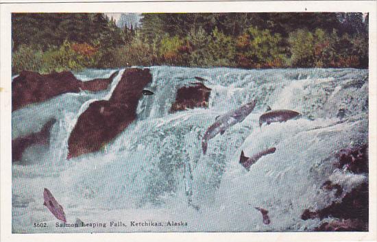 Alaska Ketchikan Salmon Leaping Falls