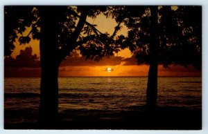 Barbadian Sunset BARBADOS Postcard