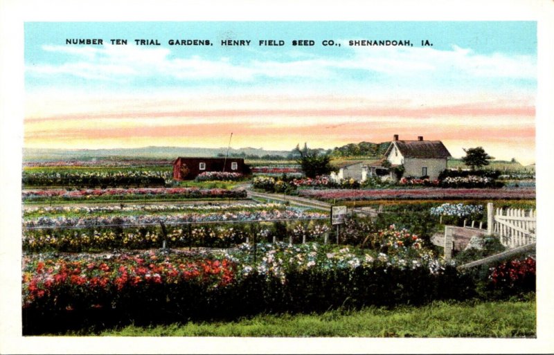 Iowa Shenandoah Henry Field Seed Company Number Ten Trial Gardens