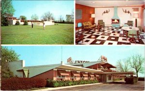Lima, OH Ohio  DAVIS PLAZA MOTEL Putting Green/Lounge ROADSIDE ca1960's Postcard