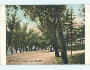 Divided-Back PARK SCENE Elmira New York NY hk8210