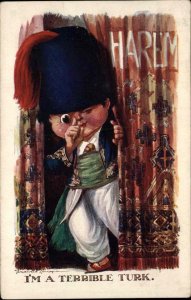 A/s Fred Spurgin Turks Turkish Boy Ornate Curtain Vintage Postcard