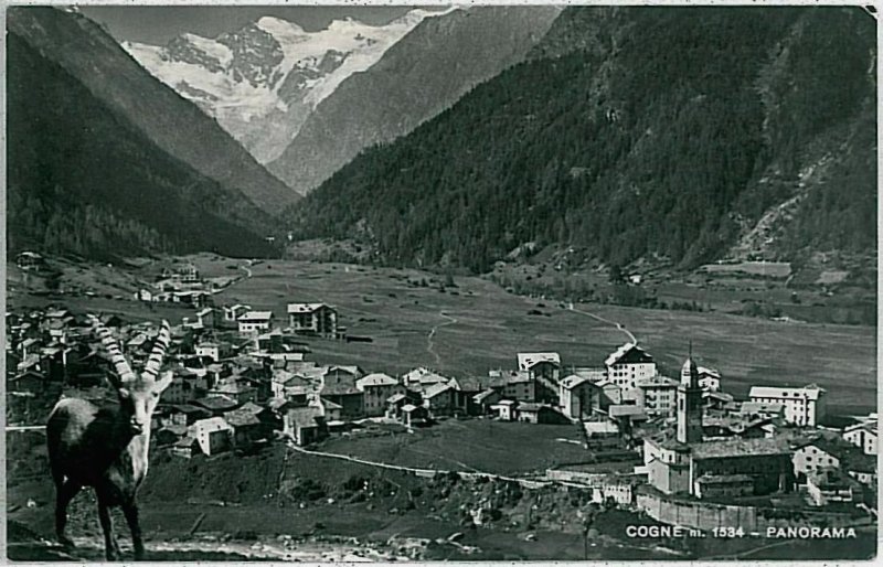 AOSTA province vintage postcard - cogne -