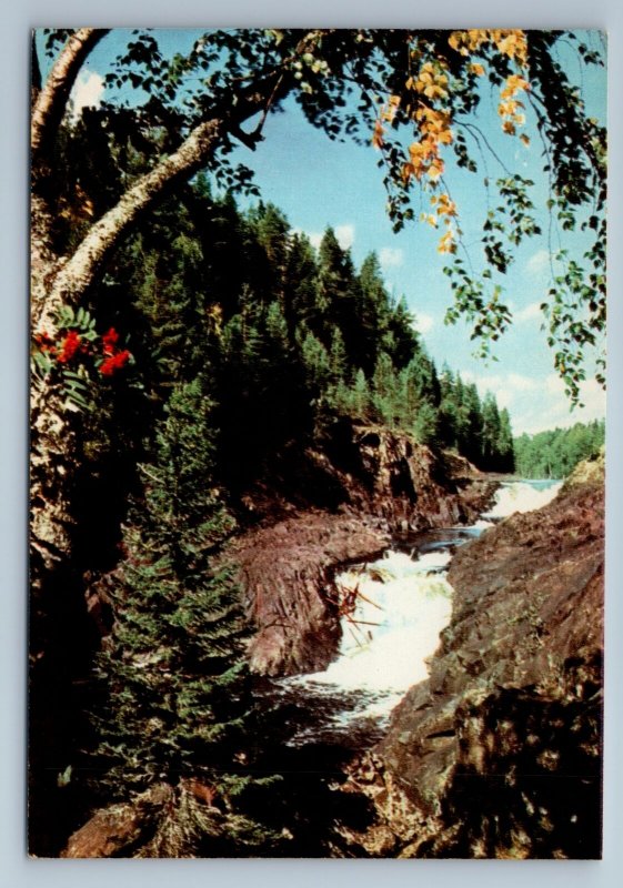 Karelia Russia Kivach Waterfall Forest Birches Stones Old Vintage Postcard