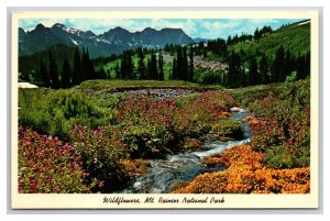 Wildflowers Mt Rainier National Park Washington WA UNP Chrome Postcard S25