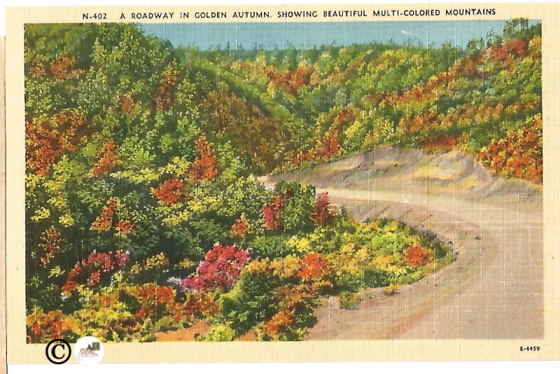 Broadway in Golden Autumn Showing Beautiful Multi Colored Mountains Postcard