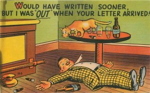 Drunk man cat fox Comic Humor Interior Colorpicture Postcard 21-13568