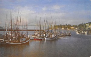 Fishing Fleet Oregon Coast, Oregon OR  