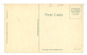 CA - San Francisco. Amusement, The Chutes ca 1907