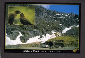 NZ Tunnel Milford Road nr Te Anau New Zealand nr Australia Postcard Birds
