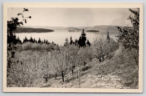 Polson MT Cherries In Bloom East Shore Montana RPPC Real Photo Postcard V23