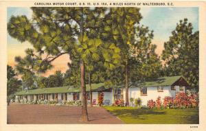 WALTERBORO, SC South Carolina  CAROLINA MOTOR COURT MOTEL  Roadside Postcard