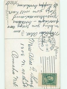 Divided-Back BIRDS SCENE Pretty Postcard AA9003