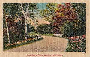 Postcard Greetings from Hays Kansas KS