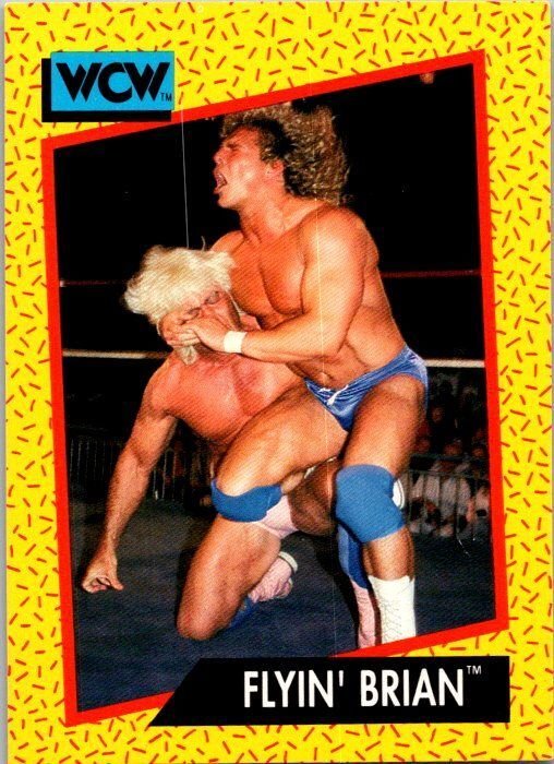 1991 WCW Wrestling Card Flyin' Brian Brian Pillman sk21217