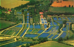 State Fish Hatchery Hackettstown NJ Aerial View Vintage Postcard