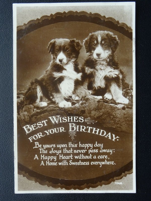 DOGGIE Birthday Greetings JOYS THAT NEVER PASS AWAY..... c1930s RP Postcard