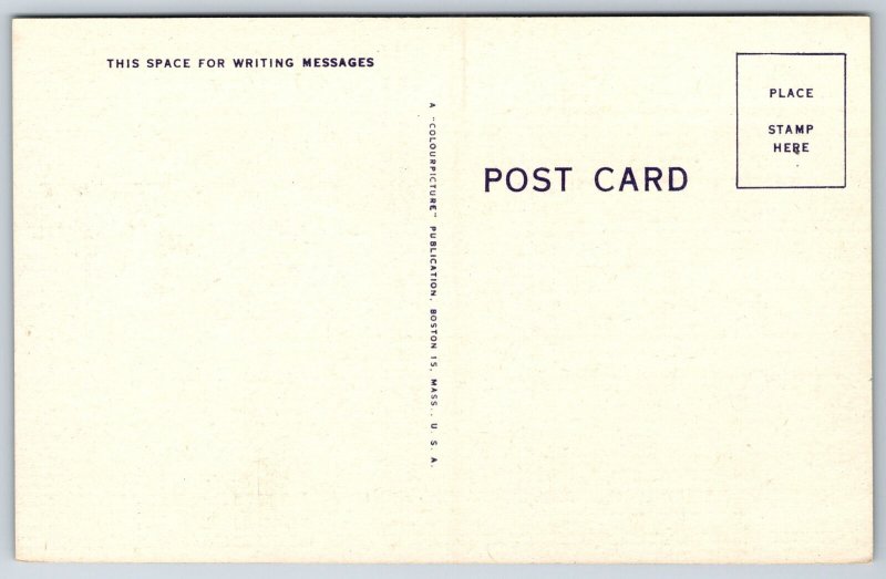 Cape Cod Massachusetts~State Map~Fishing~Golf~Mermaid~Linen Postcard