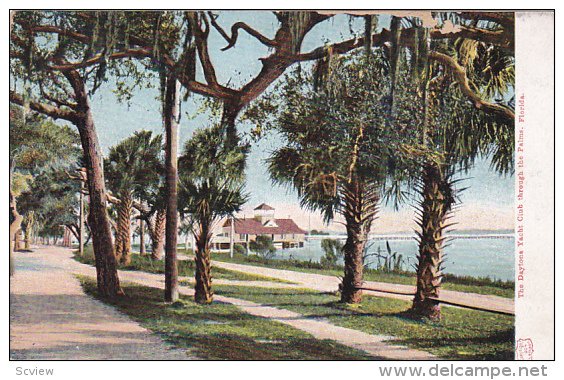 The DAYTONA Yacht Club, through the Palms, Florida, 00-10s