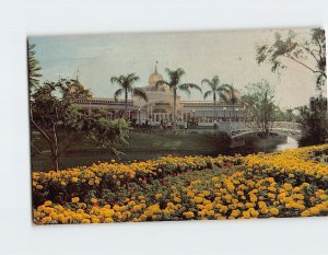 Postcard The Crystal Palace Restaurant, Walt Disney World, Orlando, Florida