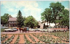 Postcard - The Amish Farm & House, East of Lancaster, Pennsylvania, USA