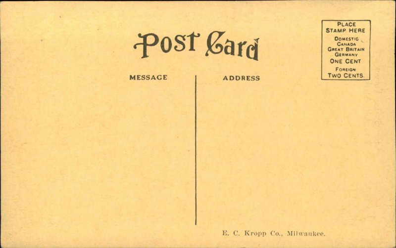 Wrangell Alaska AK Chief Shakes Totems Indigenous Culture c1910 Postcard