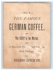 1880s Toledo Spice Co. German Coffee Winter Cabin Water Mill F105