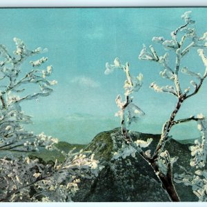 1950s Japan Unzen-Amakusa National Park Postcard Nagasaki Kumamoto Kagoshima A31